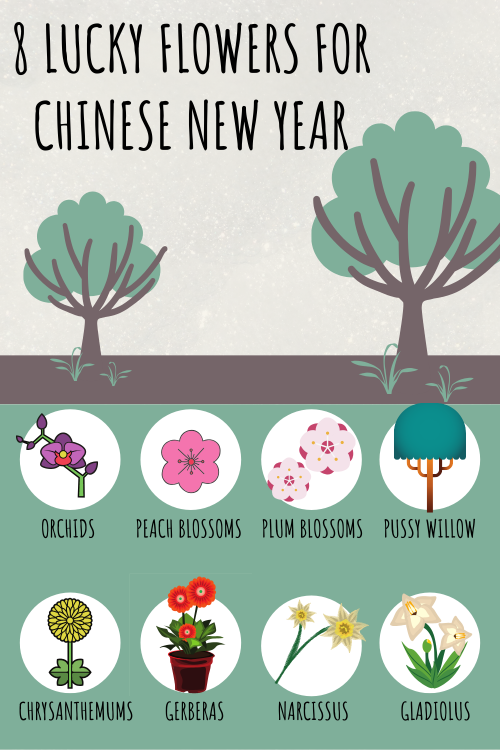 Celebrating the Chinese New Year? Here are the 8 flowers that they consider lucky!

#FloralStandSingapore
https://wonderland.com.sg/