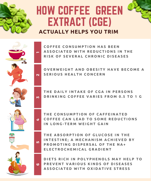 Are you looking for slimming coffee in Singapore? Here is an easy read article about how coffee green extract actually helps you trim.

#SlimmingCoffeeSingapore

https://mskinny.sg/products/ms-kinny-slimming-coffee