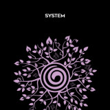 100-Silva-Intuition---System