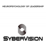 123-Sybervision---Neuropsychology-of-Leadership