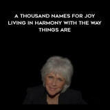 1291-Byron-Katie--Stephen-Mitchell---A-Thousand-Names-For-Joy---Living-In-Harmony-With-The-Way-Things-Are