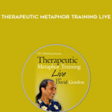 13-David-Gordon---Therapeutic-Metaphor-Training-LIVE