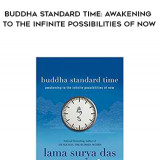 131-Lama-Surya-Das---Buddha-Standard-Time-Awakening-To-The-Infinite-Possibilities-Of-Now