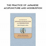 133-Ikeda-Masakazu---The-Practice-of-Japanese-Acupuncture-and-Moxibustion