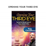 135-Raja-Choudhury---Opening-Your-Third-Eye