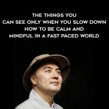 1377-Haemin-Sunim---The-Things-You-Can-See-Only-When-You-Slow-Down---How-To-Be-Calm-And-Mindful-In-A-Fast---Paced-World