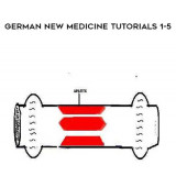 14-Caroline-Markolin---German-New-Medicine-Tutorials-1-5