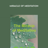 146-Osho---Miracle-of-Meditation