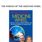 151-Jose-Stevens--Lena-Stevens---The-Wisdom-of-the-Medicine-Wheel