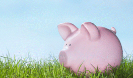 1543384597-piggy-bank-with-falling-dollars-2.gif