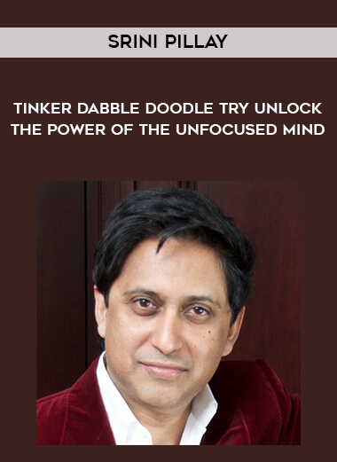 1659-Srini-Pillay---Tinker-Dabble-Doodle-Try---Unlock-The-Power-Of-The-Unfocused-Mind.jpg