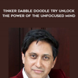 1659-Srini-Pillay---Tinker-Dabble-Doodle-Try---Unlock-The-Power-Of-The-Unfocused-Mind
