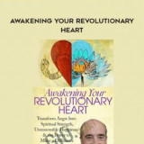 178-Awakening-Your-Revolutionary-Heart---Terry-Patten