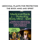 180-Medicinal-Plants-for-Protecting-the-Body-Mind-and-Spirit---David-Crow