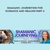 190-Shamanic-Journeying-for-Guidance-and-Healing-Part-Two-with-Sandra-Ingerman