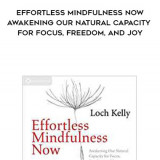 193-Loch-Kelly---Effortless-Mindfulness-Now-Awakening-Our-Natural-Capacity-For-Focus-Freedom-And-Joy