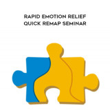 20-Steve-Reed---Rapid-Emotion-Relief-Quick-REMAP-Seminar