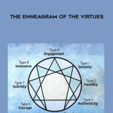 200-The-Enneagram-of-the-Virtues---Russ-Hudson