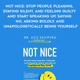 202-Not-Nice-Stop-People-Pleasing-Staying-Silent-And-Feeling-Guilty-And-Start-Speaking-Up-Saying-No-Asking-Boldly-And-Unapologetically-Being-Yourself