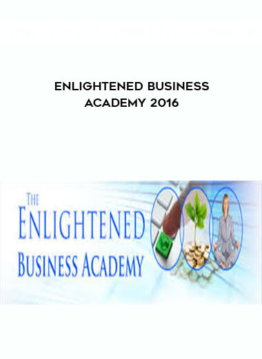 203-Enlightened-Business-Academy-2016.jpg