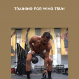 205-Simple-and-Effective-Kettlebell-Training-for-Wing-Tsun4c291faab98d9a45