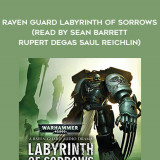 208-George-Mann---Raven-Guard---Labyrinth-Of-Sorrows-read-by-Sean-Barrett---Rupert-Degas---Saul-Reichlin