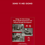 214-Xing-Yi-Nei-Gong
