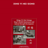 214-Xing-Yi-Nei-Gong976df252e93b7cd9