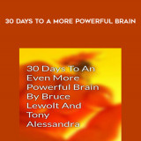 22-Bruce-Lewolt-and-Tony-Alessandra---30-Days-to-a-More-Powerful-Brain