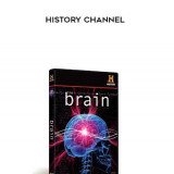 221-History-Channel---The-Brain