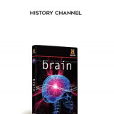 221-History-Channel---The-Brain409cc05573ed40cc