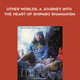225-Jan-Kounen---Other-Worlds-A-Journey-into-the-heart-of-Shipabo-shamanism