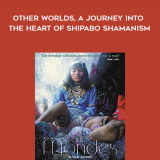 225-Jan-Kounen---Other-Worlds-A-Journey-into-the-heart-of-Shipabo-shamanism3878385585d1fd73