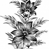 23719699_1755108358125791_2218952934597591040_n