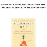 240-James-Kingsland---Siddharthas-Brain-Unlocking-The-Ancient-Science-Of-Enlightenment