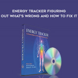 25-Donna-Eden---Energy-Tracker-Figuring-Out-Whats-Wrong-and-How-to-Fix-It