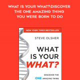 250-Steve-Olsher---What-Is-Your-What-Discover-The-One-Amazing-Thing-You-Were-Born-To-Do