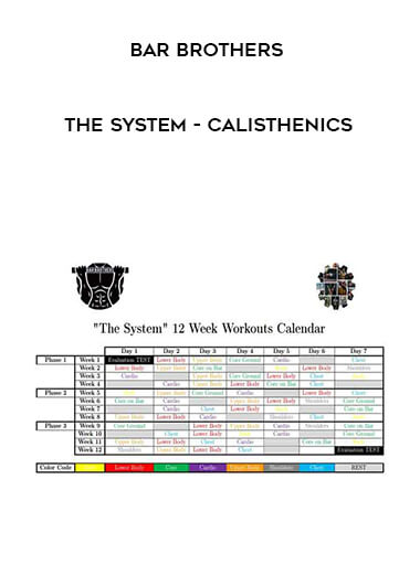 29-Bar-Brothers---The-System---Calisthenics.jpg