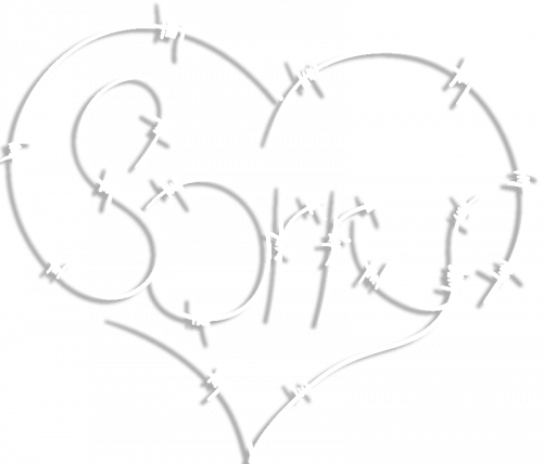 2946837-vector-heart-with-an-japology-from-the-barbed-wire.png