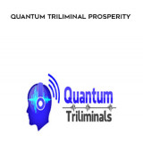 296-Quantum-Triliminal-Prosperity