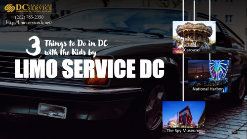 3-Things-to-Do-in-DC-with-the-Kids-by-Limo-Service-DC.jpg