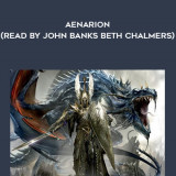 314-Gav-Thorpe---Aenarion-read-by-John-Banks---Beth-Chalmers