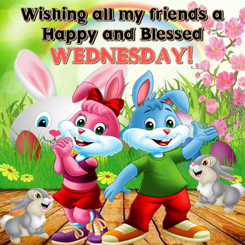 327257-Wishing-All-My-Friends-A-Happy-And-Blessed-Wednesday.jpg