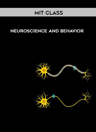 33-MIT-Class---Neuroscience-and-Behavior.jpg