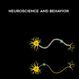 33-MIT-Class---Neuroscience-and-Behavior