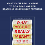 358-Robert-Steven-Kaplan---What-Youre-Really-Meant-To-Do-A-Road-Map-For-Reaching-Your-Unique-Potential