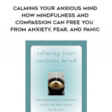 377-Jeffrey-Brantley---Calming-Your-Anxious-Mind-How-Mindfulness-And-Compassion-Can-Free-You-From-Anxiety-Fear-And-Panic