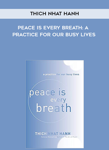 385-Thich-Nhat-Hanh---Peace-Is-Every-Breath-A-Practice-For-Our-Busy-Lives.jpg