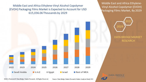 4.MiddleEastandAfricaEthyleneVinylAlcoholCopolymerEVOHPackagingFilmsMarket.jpg