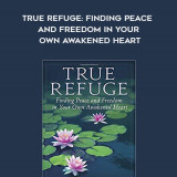 402-Tara-Brach---True-Refuge-Finding-Peace-And-Freedom-In-Your-Own-Awakened-Heart